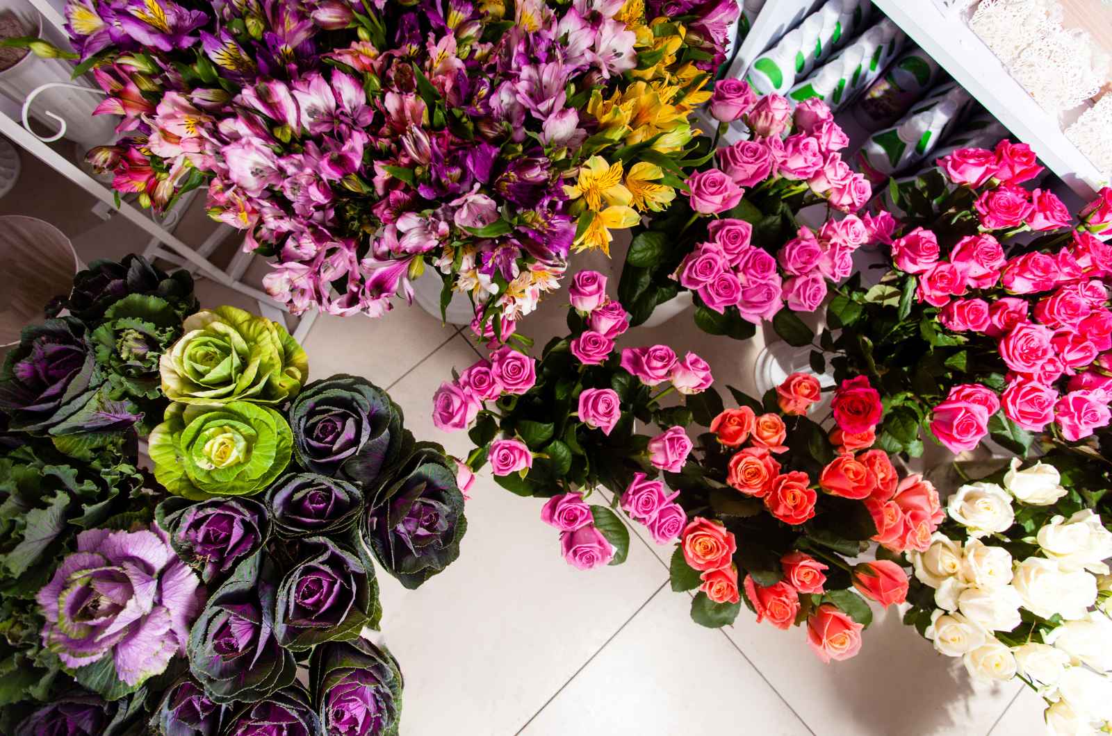 גלו את הקסם של חנויות הפרחים בתל אביב: חוויה פרחונית שלא תשכחו